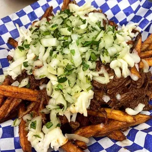 Birria fries