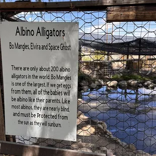 From our 9/3/2023 visit...