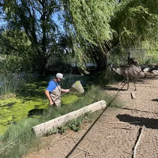 I saw a ton of groundskeepers cleaning and maintaining while we were there.