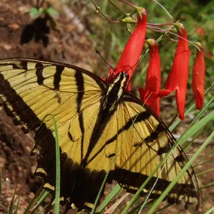 Spring Time on the Gold Belt Tour