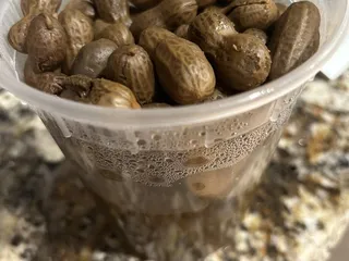 Cowgirl Kettlecorn and Lemonade