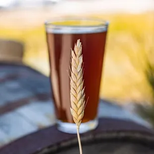 drink