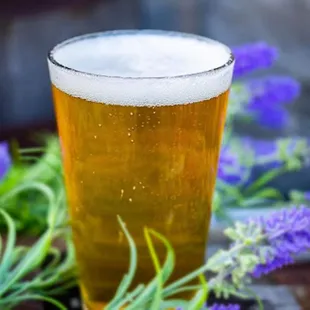 a pint of beer with lavenders in the background