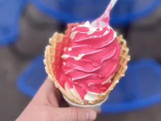 BJ's Velvet Freez