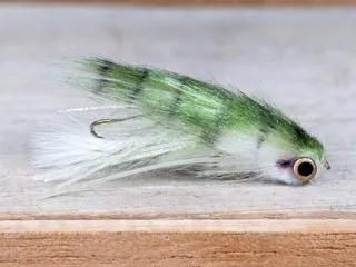 Anglers All