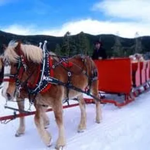 Sleigh Rides