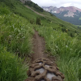 Single Track Mountain Biking
