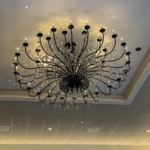 Chandelier
