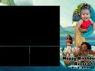 Partytime Hawaii