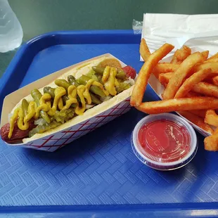Chicago dog with fries