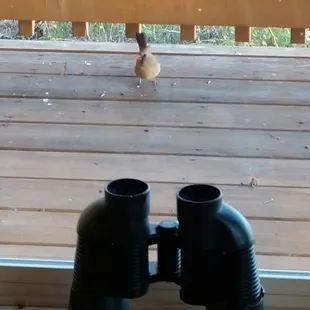 Who's watching who?!?