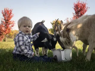 Southern Grace Bed & Breakfast