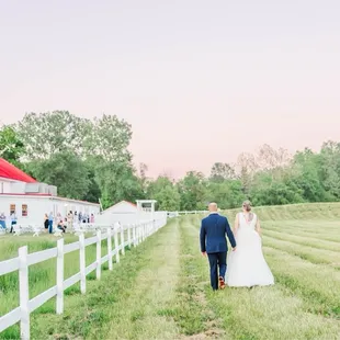 Green pastures and horses