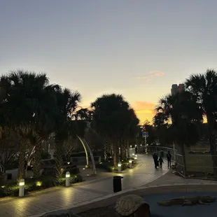 View from the restaurant patio