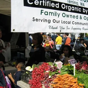 Soney Plains Organic Farm at the Col City Farmers Market