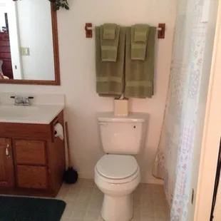 Clean "jack &amp; Jill" style bathroom