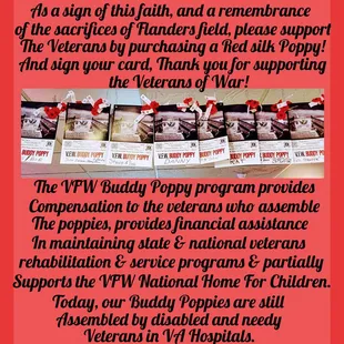 Poppies Support Program