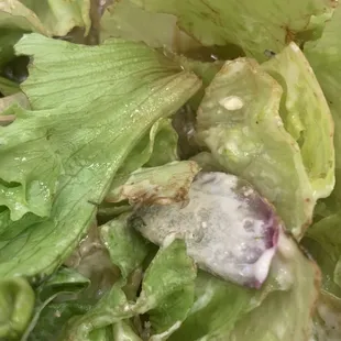 Gross salad
