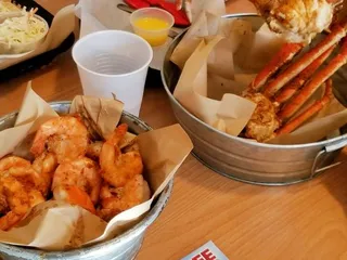 Groupers On The Gulf