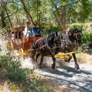 History is alive by stagecoach in Columbia State Historic Park!