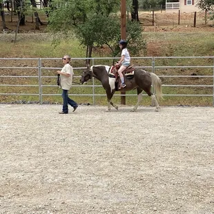 Pony ride