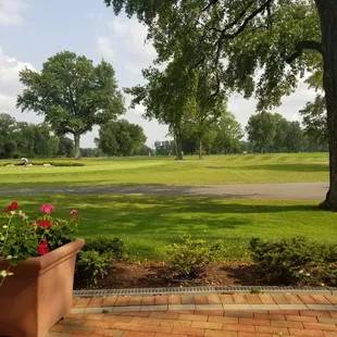 Patio view - late summer