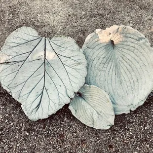 Concrete leaf-casting class