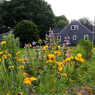 A view from the prairie!