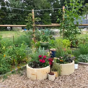 Demonstration garden for veggies, herbs, flowers, and perennial edibles