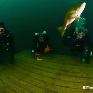 Advanced Nitrox Course