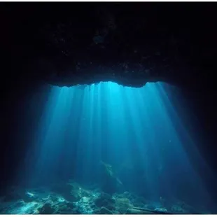 Cavern Training in FL