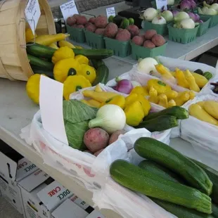 a variety of vegetables