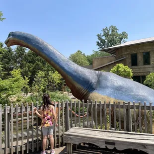 Dinosaur part of the zoo was cool!