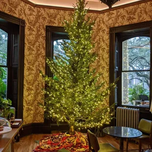 Christmas tree in coffee room