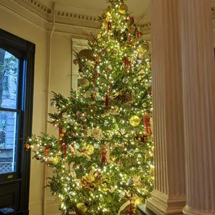 Main Christmas tree
