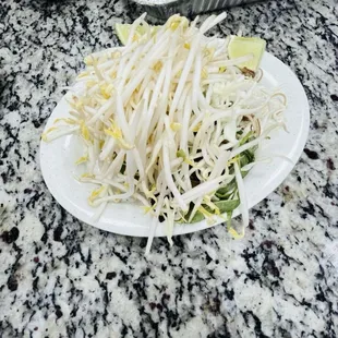 Bean Sprouts