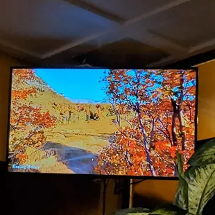 Healing melody/ meditation music on the screen