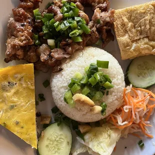 Rice Plate