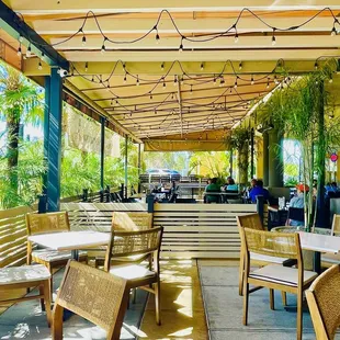 ramen and noodles, outside