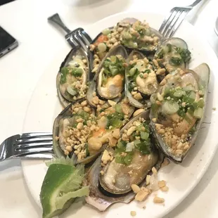 oysters and mussels, oysters, food, mussels, shellfish