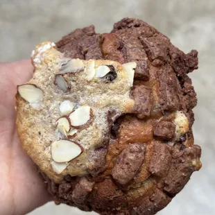 a hand holding a chocolate cookie
