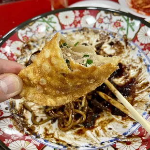 Fried Dumplings