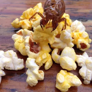 I thought it was obvious, I found the cicada and was having fun with it; it was not in the popcorn.