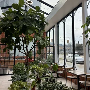 Next door @Greenhaus