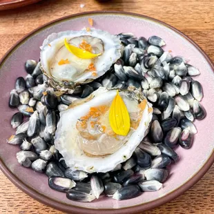 HH Oyster, Tepache Snow, Habanero, Grapefruit* (2 per order, $7)