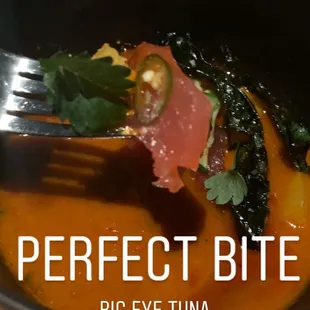 Big Eye Tuna
