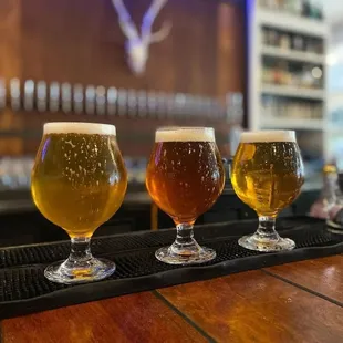 three glasses of beer on a bar