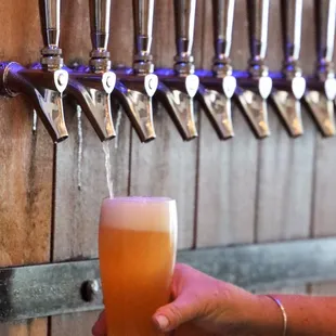 a person holding a glass of beer