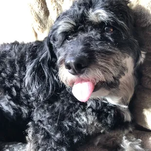 COMEDY WORKS SUCKS BIG TIME! YOU CAN'T LAUGH...COMEDIANS SHOULD RUN! I'LL NEVER GO BACK!