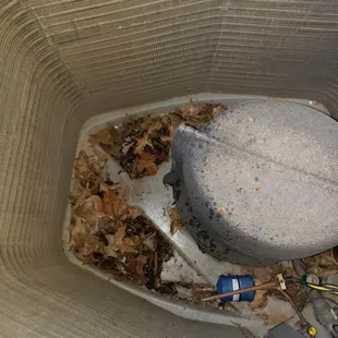 Before annual service